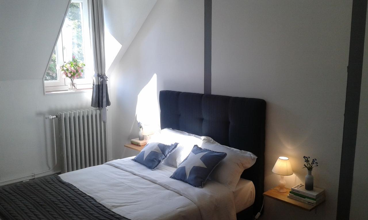 Bed and Breakfast La Sauldre Vailly-sur-Sauldre Экстерьер фото