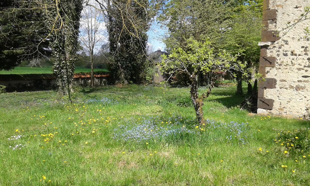 Bed and Breakfast La Sauldre Vailly-sur-Sauldre Экстерьер фото